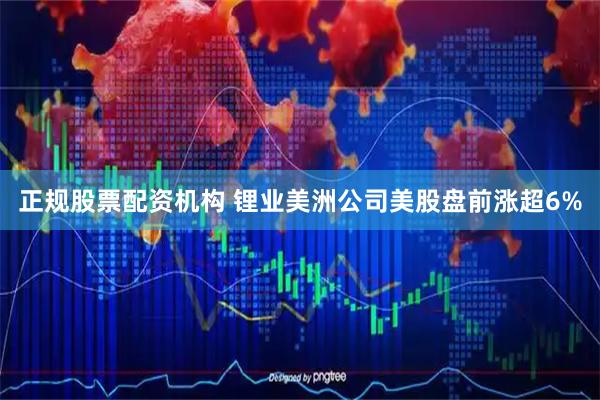 正规股票配资机构 锂业美洲公司美股盘前涨超6%
